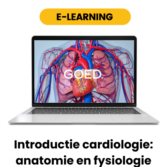 E-Learning Introductie cardiologie - Anatomie en fysiologie