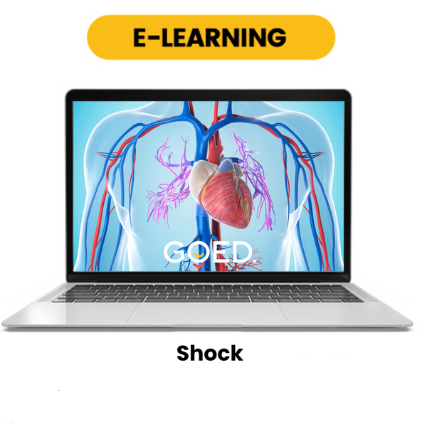 E-learning Shock